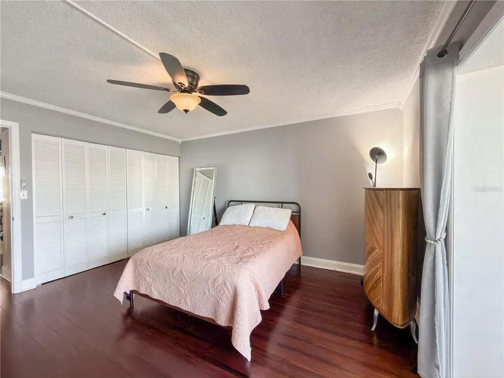 8100 DR MARTIN LUTHER KING JR STREET #202 St Petersburg, FL 33702