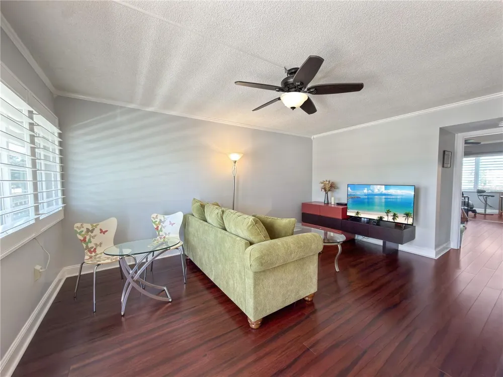 8100 DR MARTIN LUTHER KING JR STREET #202 St Petersburg, FL 33702