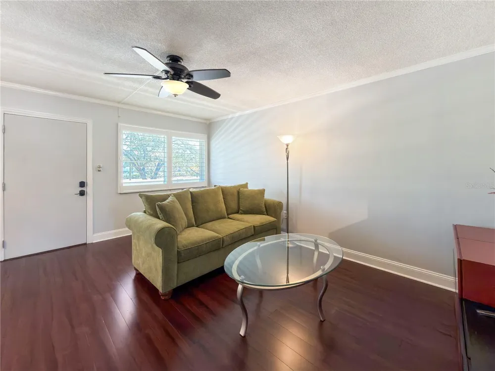 8100 DR MARTIN LUTHER KING JR STREET #202 St Petersburg, FL 33702
