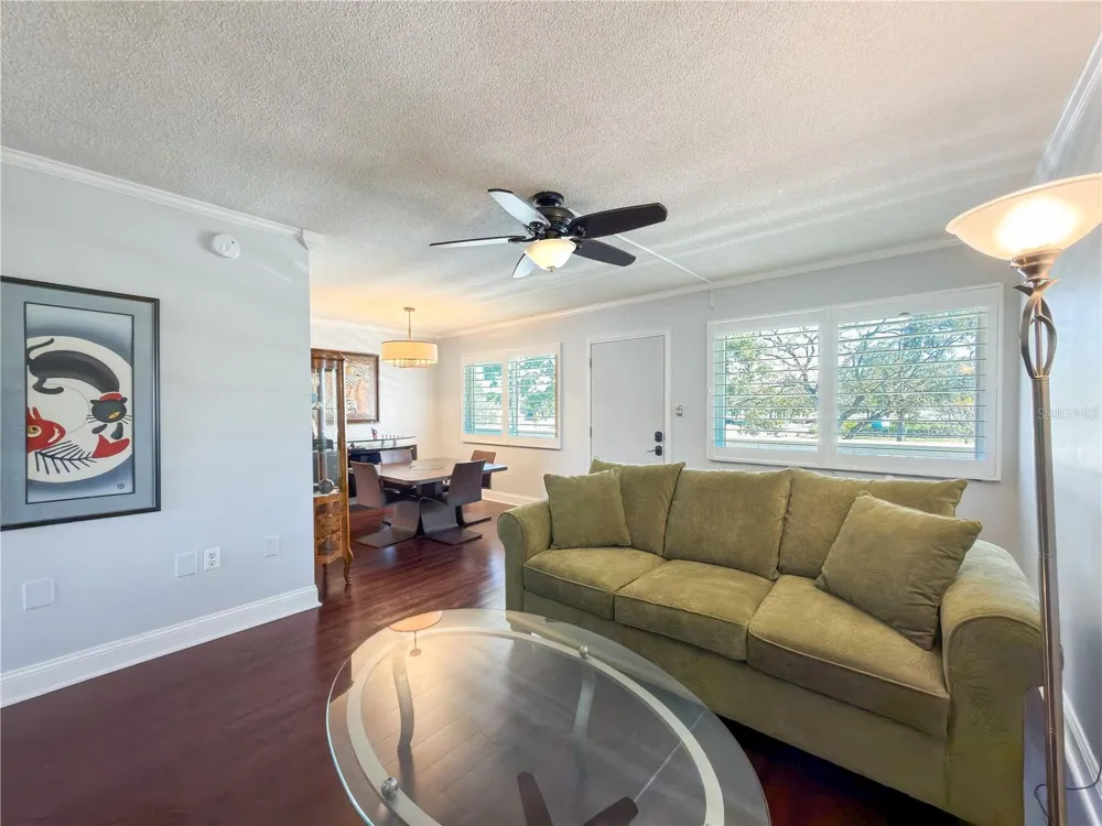 8100 DR MARTIN LUTHER KING JR STREET #202 St Petersburg, FL 33702
