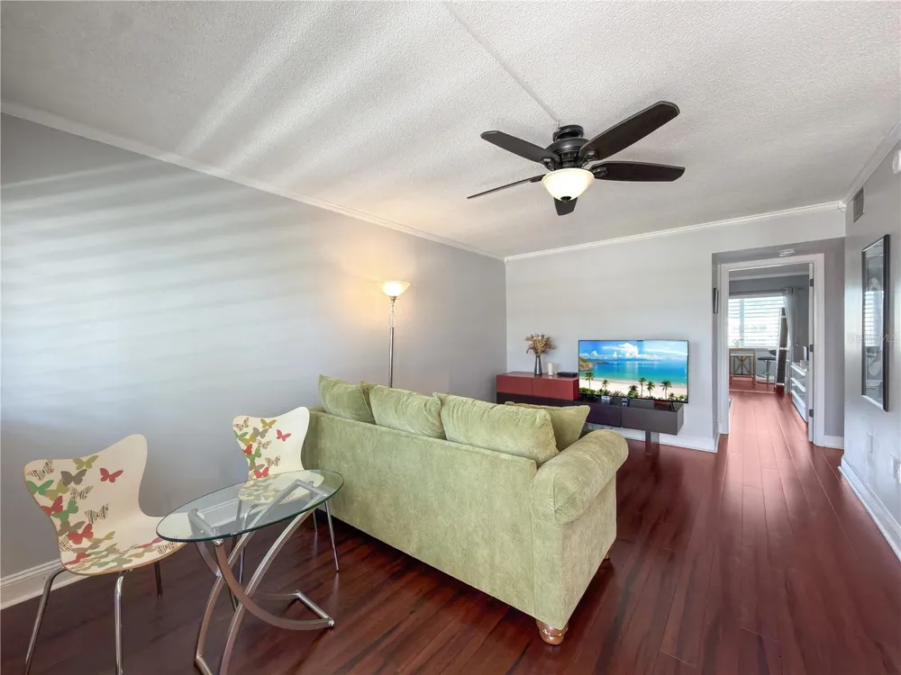 8100 DR MARTIN LUTHER KING JR STREET #202 St Petersburg, FL 33702