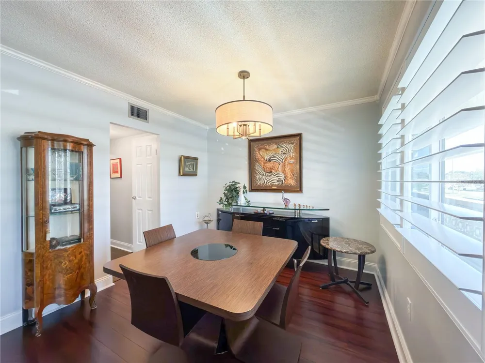 8100 DR MARTIN LUTHER KING JR STREET #202 St Petersburg, FL 33702