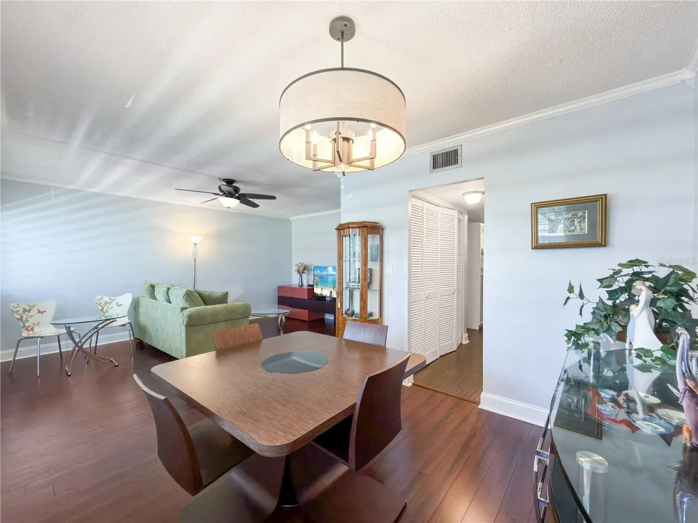 8100 DR MARTIN LUTHER KING JR STREET #202 St Petersburg, FL 33702
