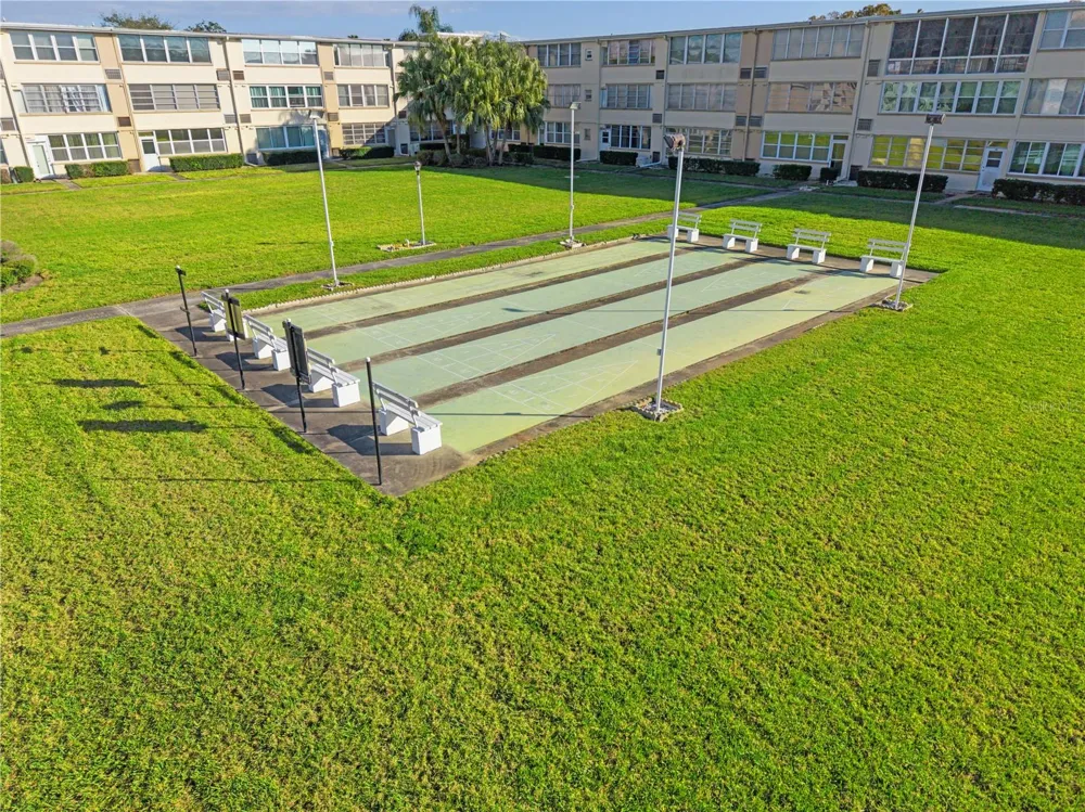 8100 DR MARTIN LUTHER KING JR STREET #202 St Petersburg, FL 33702