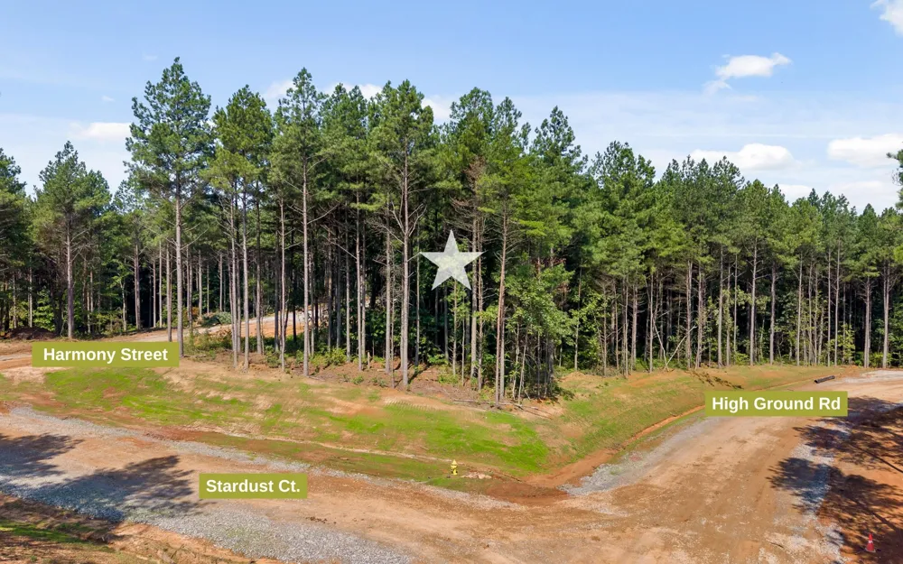 2020 Harmony Street Guild, TN 37340