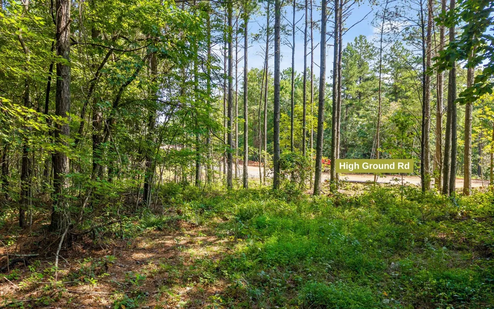 2020 Harmony Street Guild, TN 37340