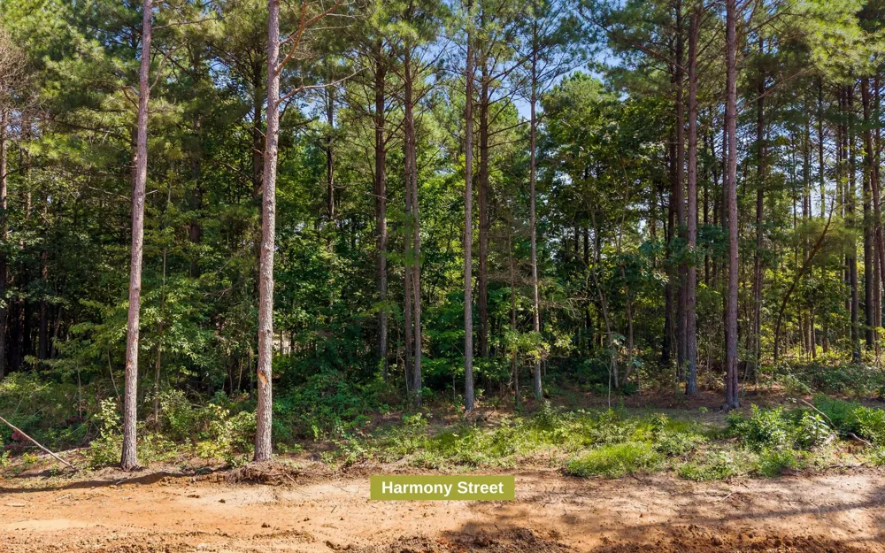 2020 Harmony Street Guild, TN 37340