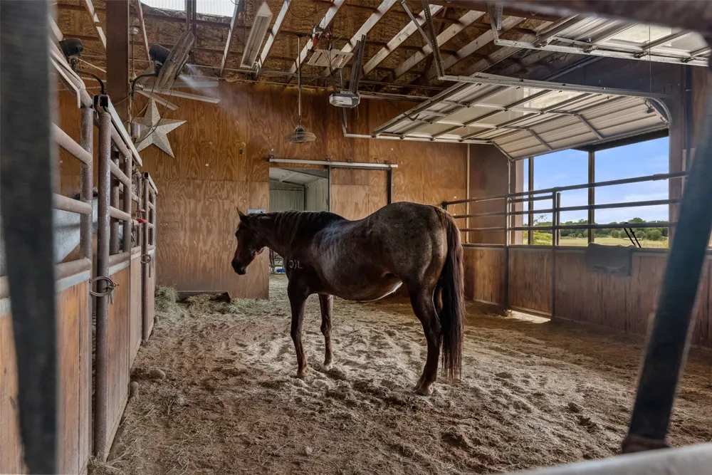 894 Blue Cut Road McGregor, TX 76657