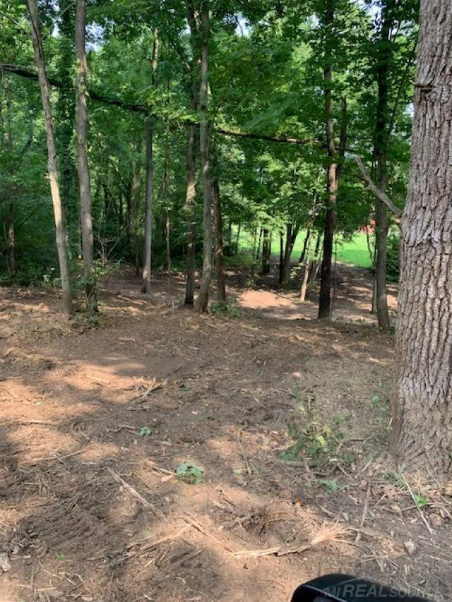 4740 Pinckney Road Howell City, MI 48843