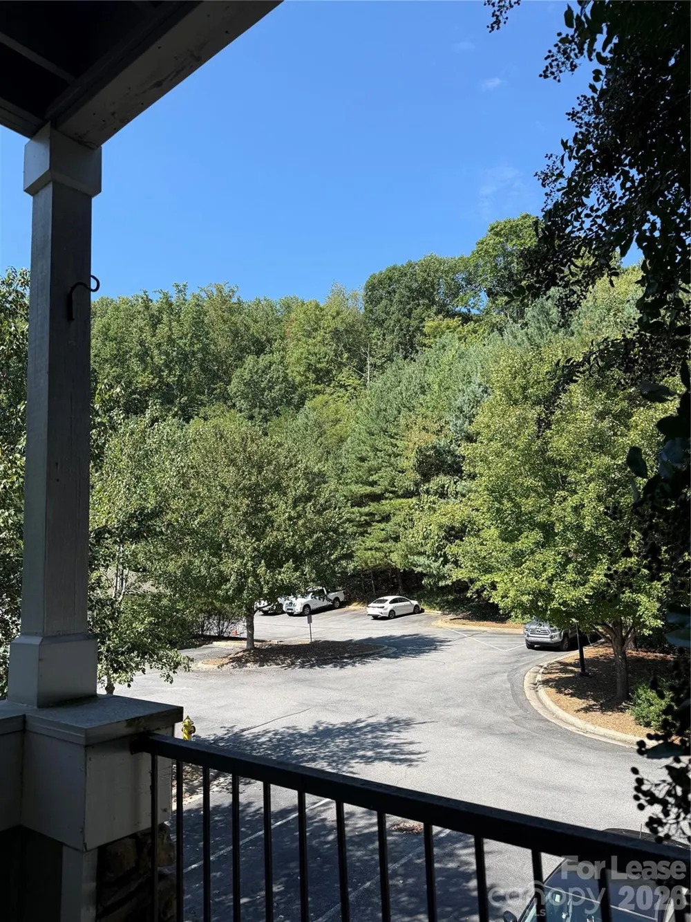 900 Vista Lake Drive #201 Candler, NC 28715