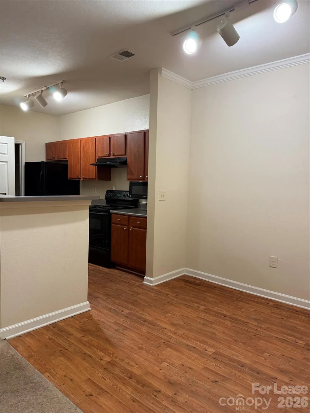 900 Vista Lake Drive #201 Candler, NC 28715
