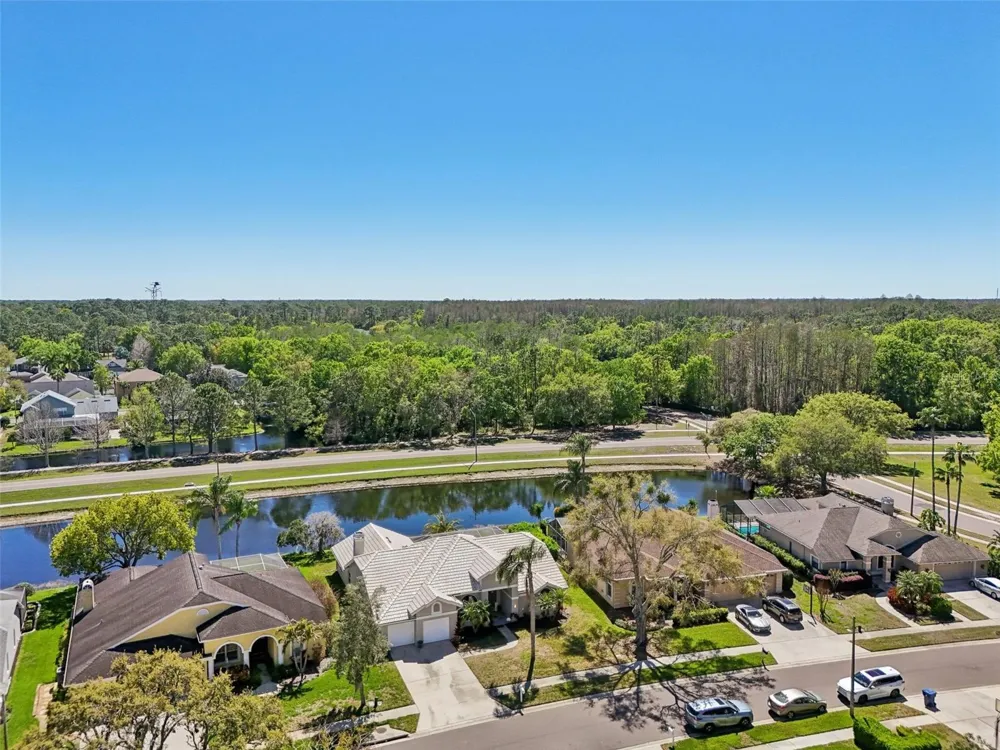 954 COBBLESTONE LANE Tarpon Springs, FL 34688