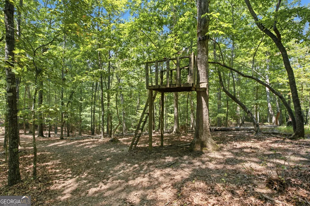 302 Bumpy TRL Dawsonville, GA 30534