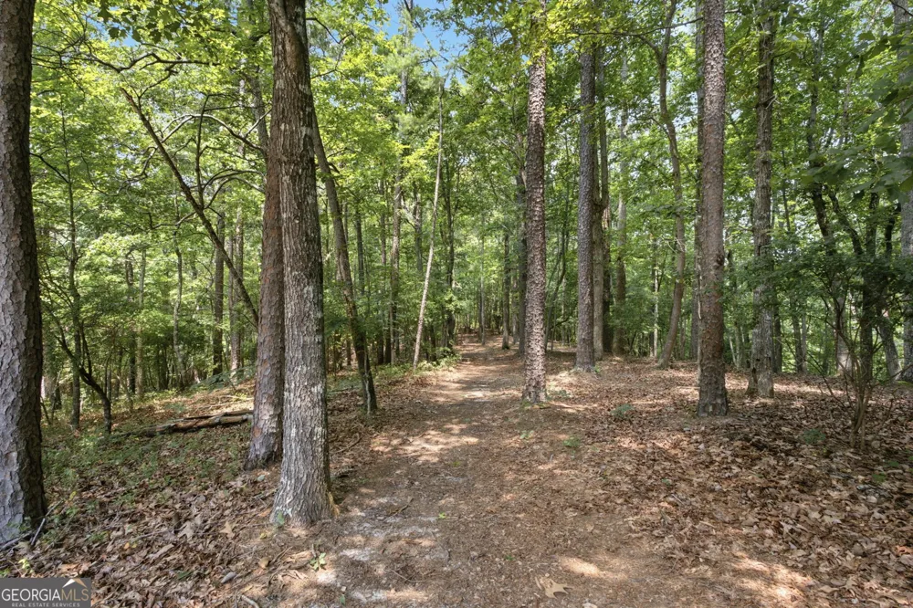 302 Bumpy TRL Dawsonville, GA 30534