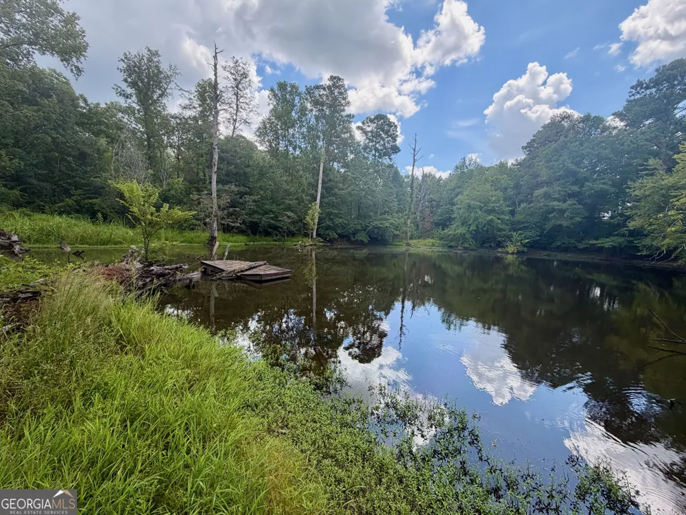 67 Lakeview DR Sparta, GA 31087