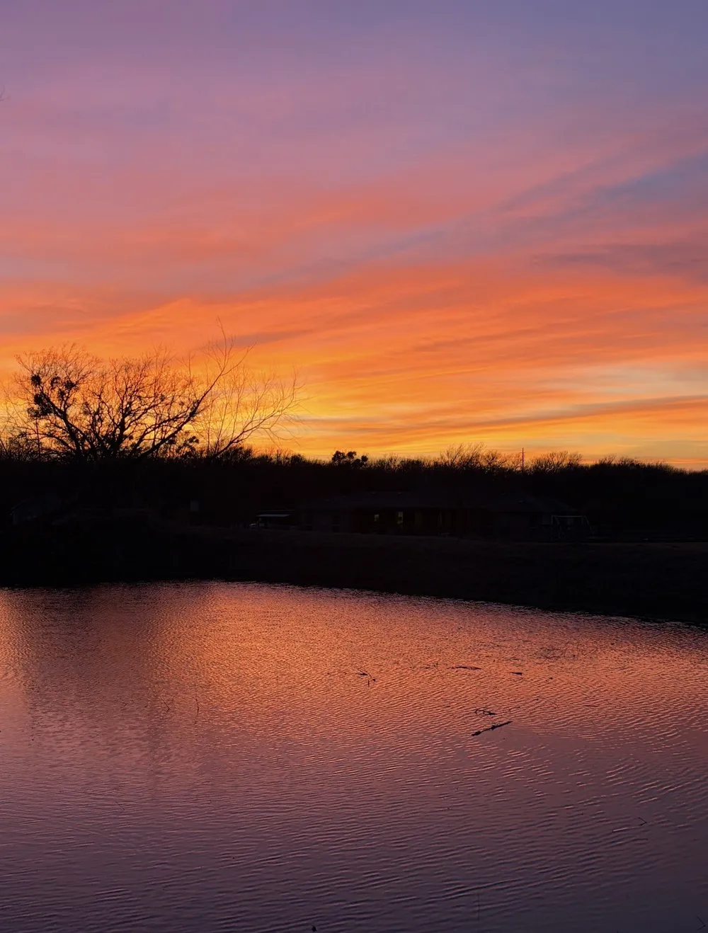 9732 Mackenzie Brook Royse City, TX 75189