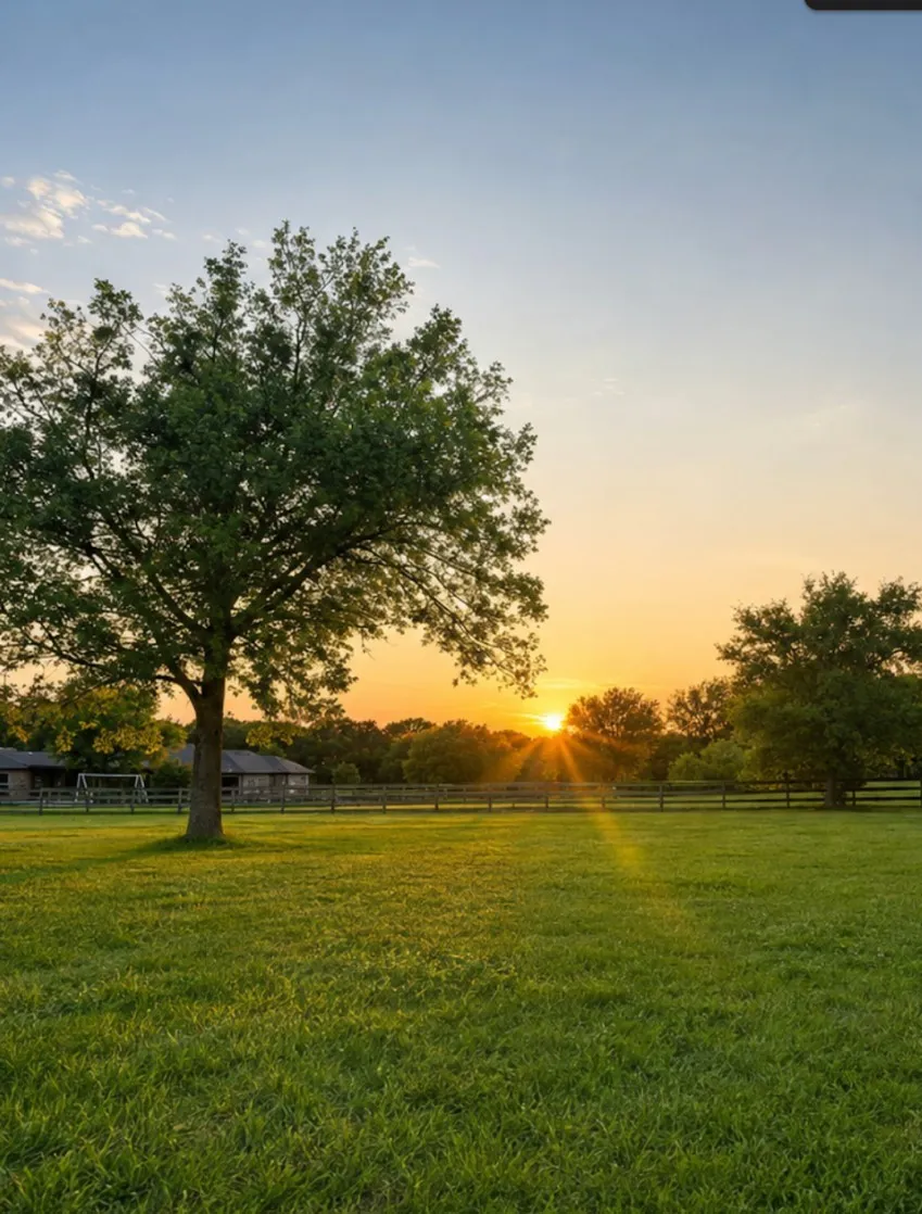 9732 Mackenzie Brook Royse City, TX 75189