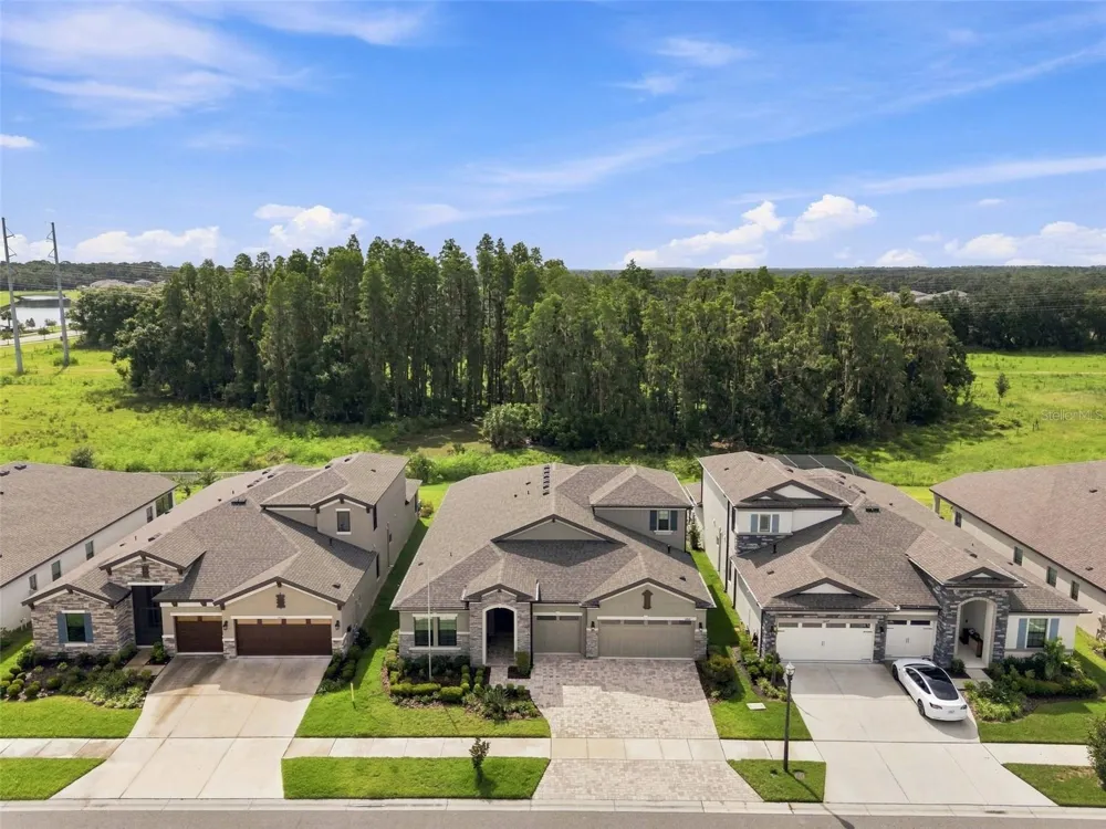 14519 WOODLAND SPUR DRIVE Lithia, FL 33547