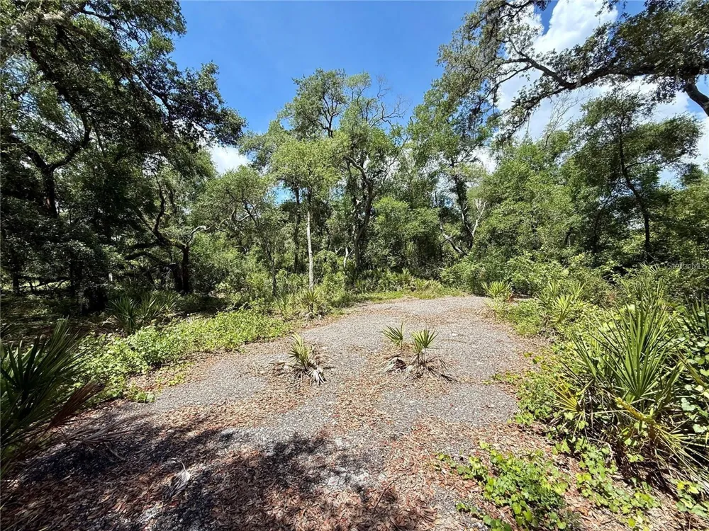 Lot 10 LONG CIRCLE Webster, FL 33597