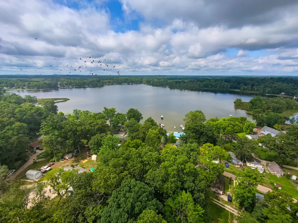 Luann Pinckney, MI 48169