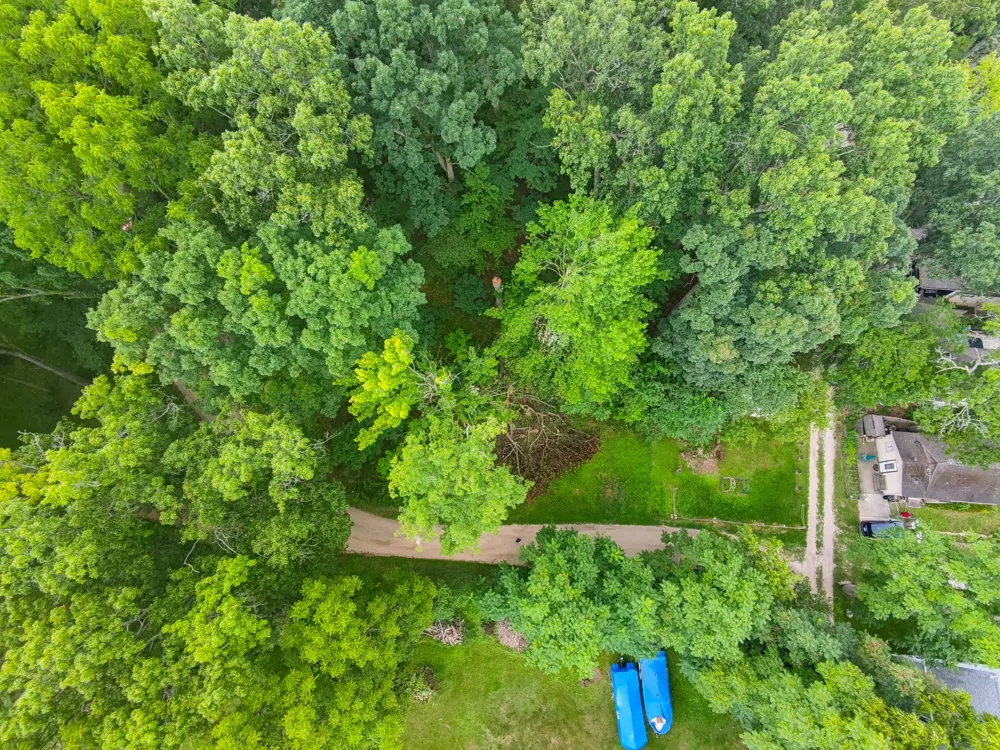Luann Pinckney, MI 48169