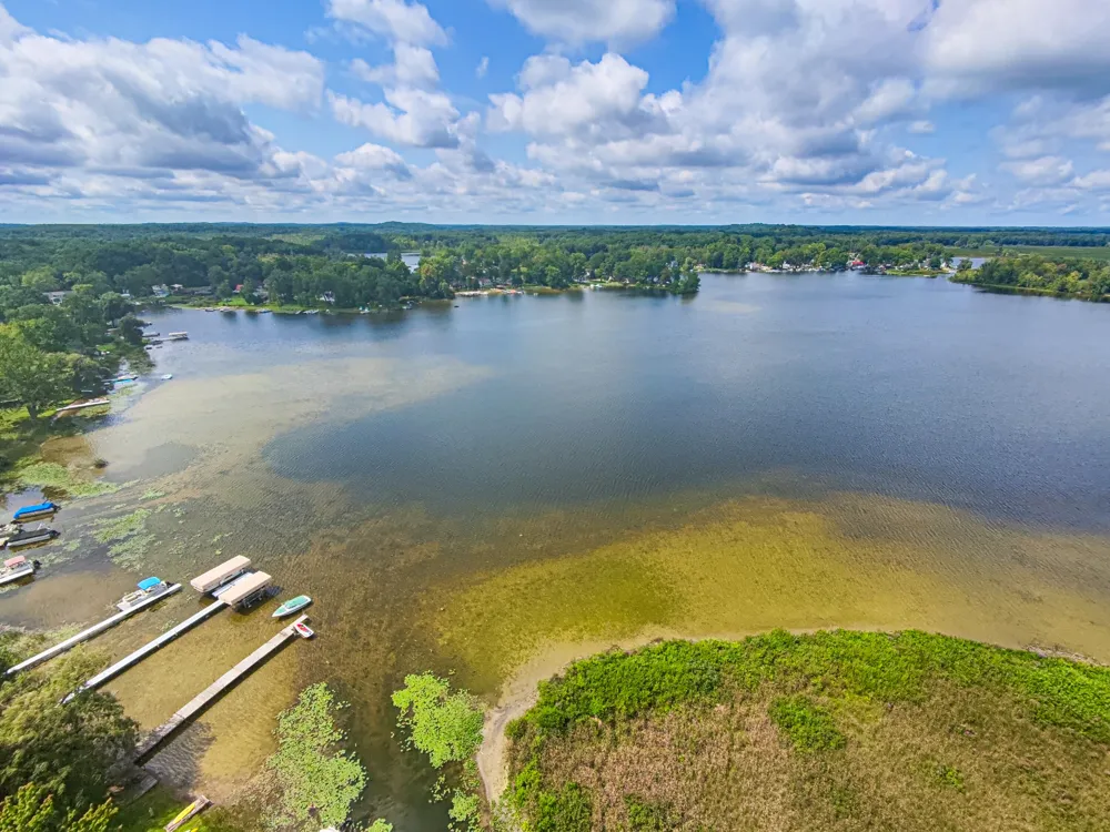 Luann Pinckney, MI 48169