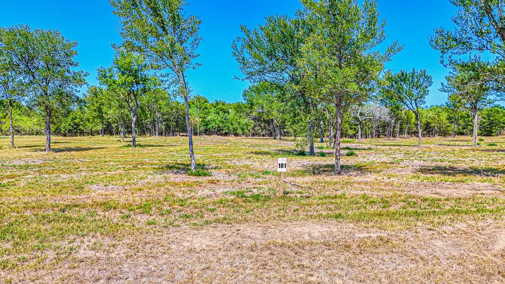 Waterfront Club Drive Corsicana, TX 75110