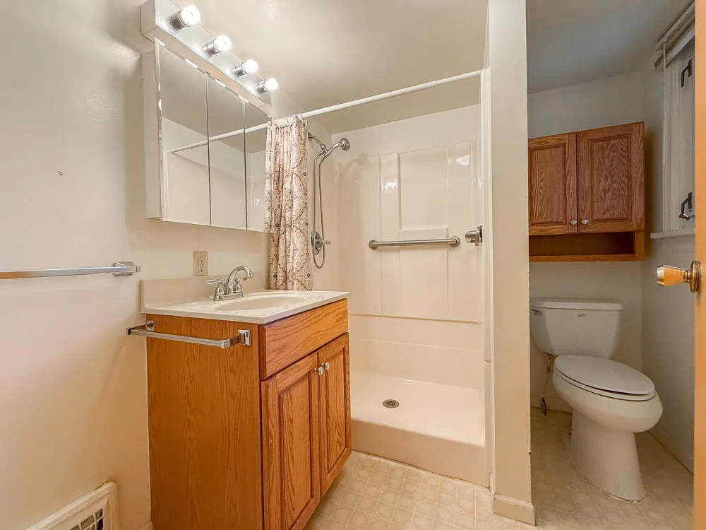 103 Lowe Street Dowagiac, MI 49047