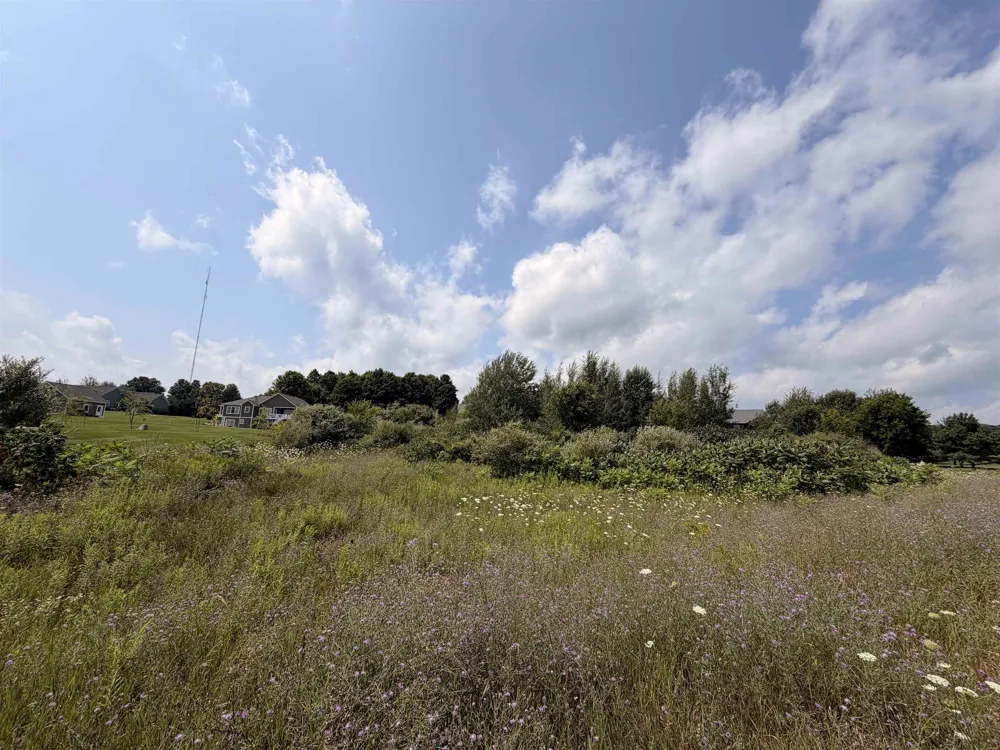 Stonefield Drive Garfield Charter Township, MI 49684