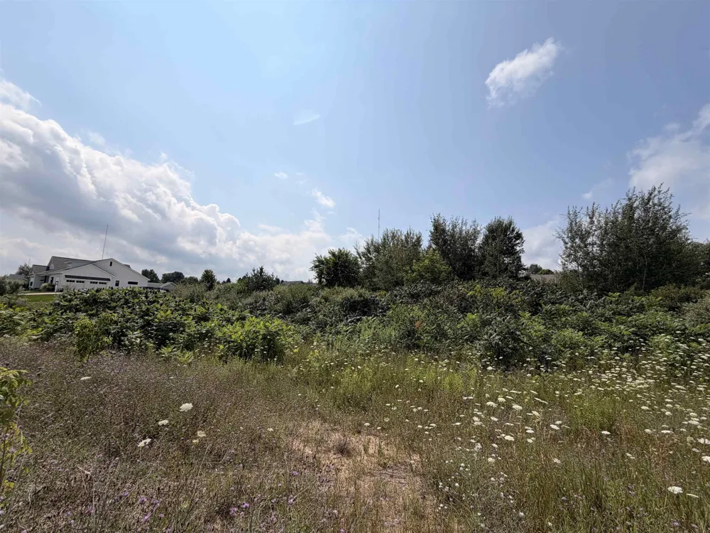 Stonefield Drive Garfield Charter Township, MI 49684