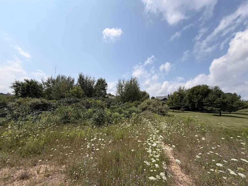 Stonefield Drive Garfield Charter Township, MI 49684