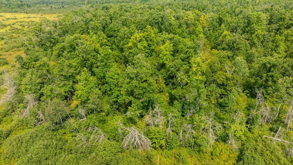 0 28th Street Chetek, WI 54728