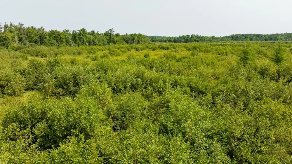 0 28th Street Chetek, WI 54728