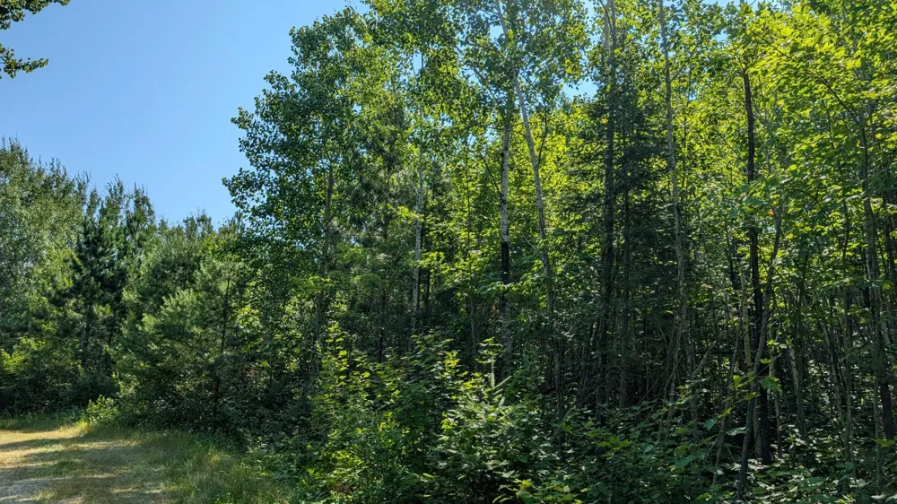 TBD Kennedy Rd Cook, MN 55723