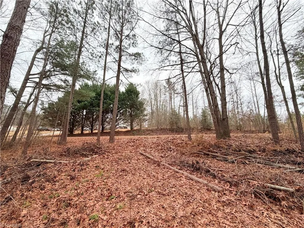000 Shumate Mountain Road Hays, NC 28635