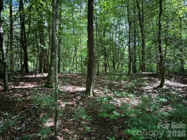 TBD Blossom Road Brevard, NC 28712