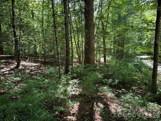 TBD Blossom Road Brevard, NC 28712