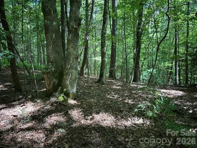TBD Blossom Road Brevard, NC 28712
