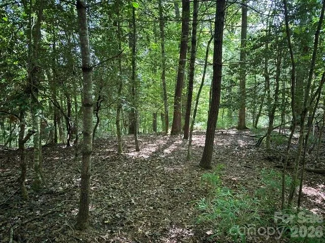 TBD Blossom Road Brevard, NC 28712