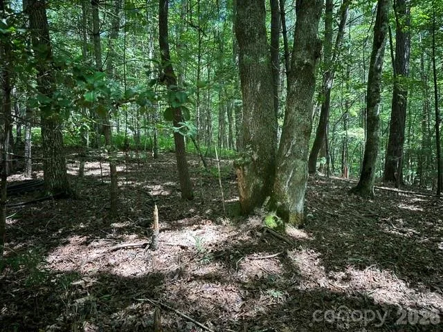 TBD Blossom Road Brevard, NC 28712