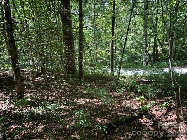 TBD Blossom Road Brevard, NC 28712
