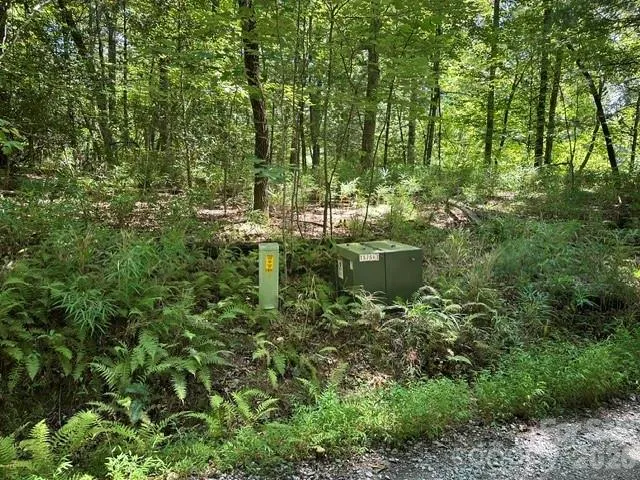 TBD Blossom Road Brevard, NC 28712