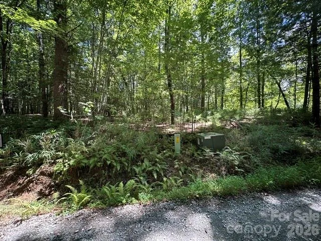 TBD Blossom Road Brevard, NC 28712
