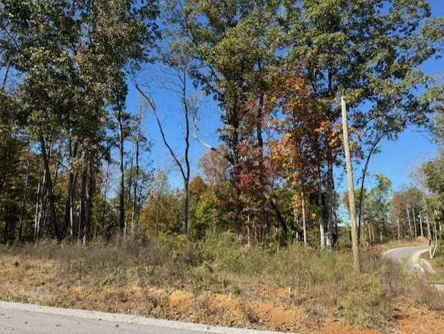 9599 Medlin Rd Baxter, TN 38544