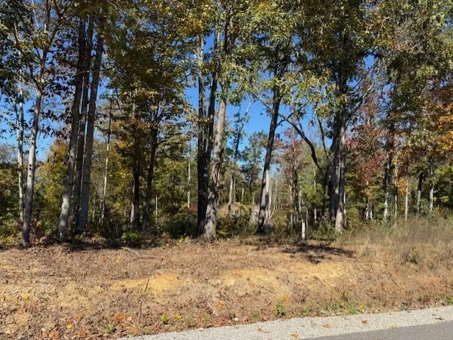 9599 Medlin Rd Baxter, TN 38544