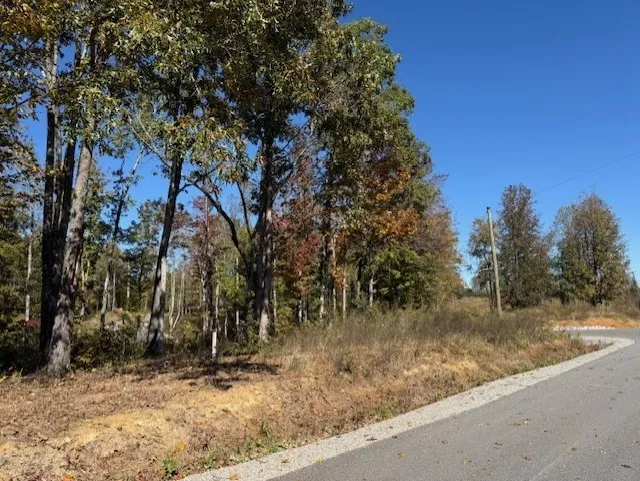 9599 Medlin Rd Baxter, TN 38544