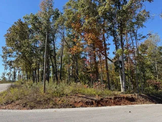 9599 Medlin Rd Baxter, TN 38544