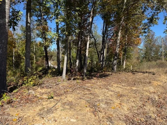 9599 Medlin Rd Baxter, TN 38544