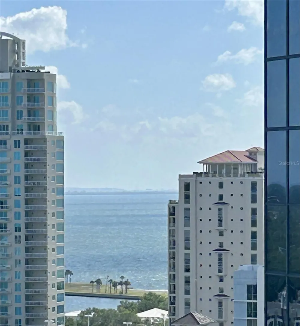 400 CENTRAL AVENUE #1806 St Petersburg, FL 33701
