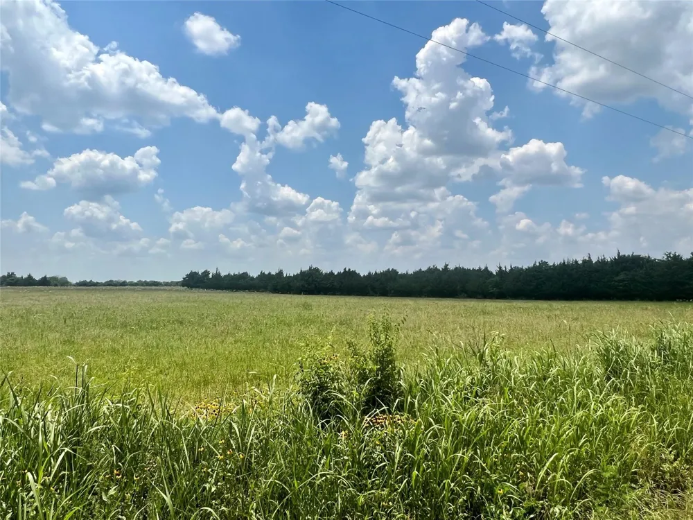 3442 COUNTY ROAD 15100 Blossom, TX 75416